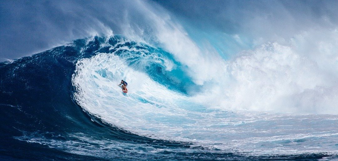 Surfer sur la vague