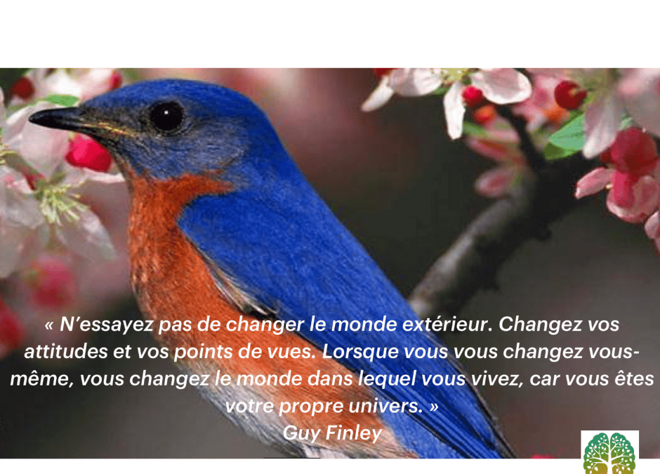 Est-il possible de changer de vie ?