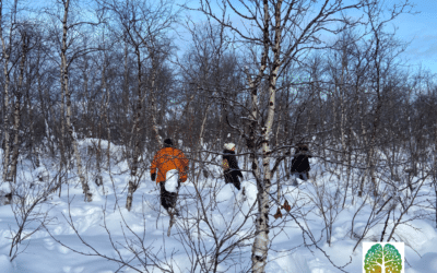 La marche consciente avec des raquettes à neige