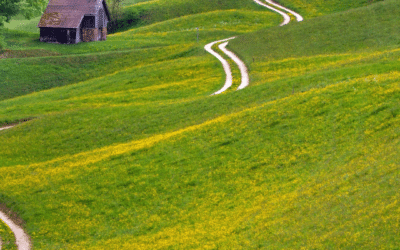 Pratique méditative : dessine ton chemin de vie