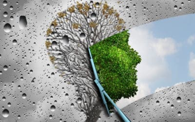 Le printemps signe de renouveau ?