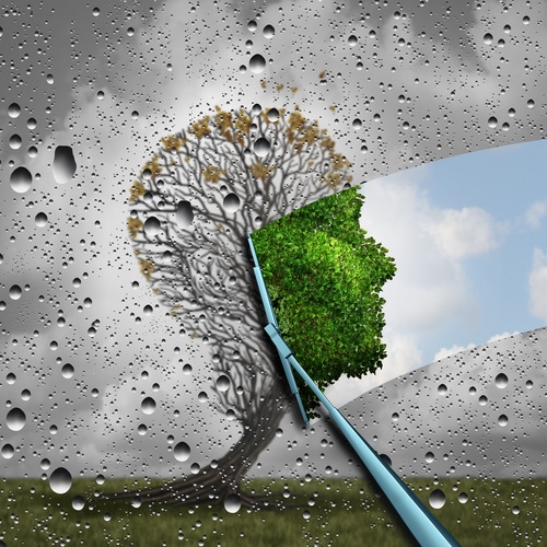 Le printemps signe de renouveau ?